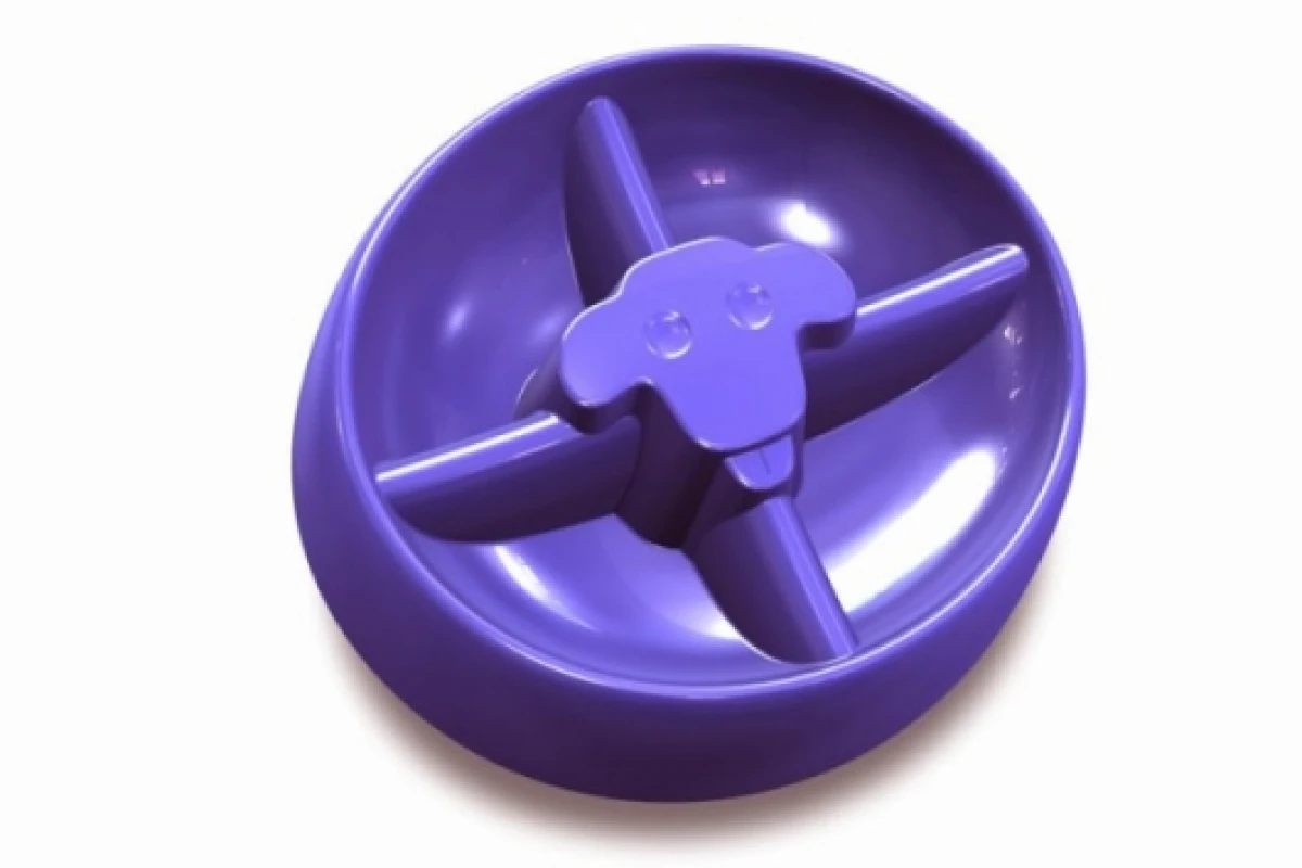 DogPause dog bowl