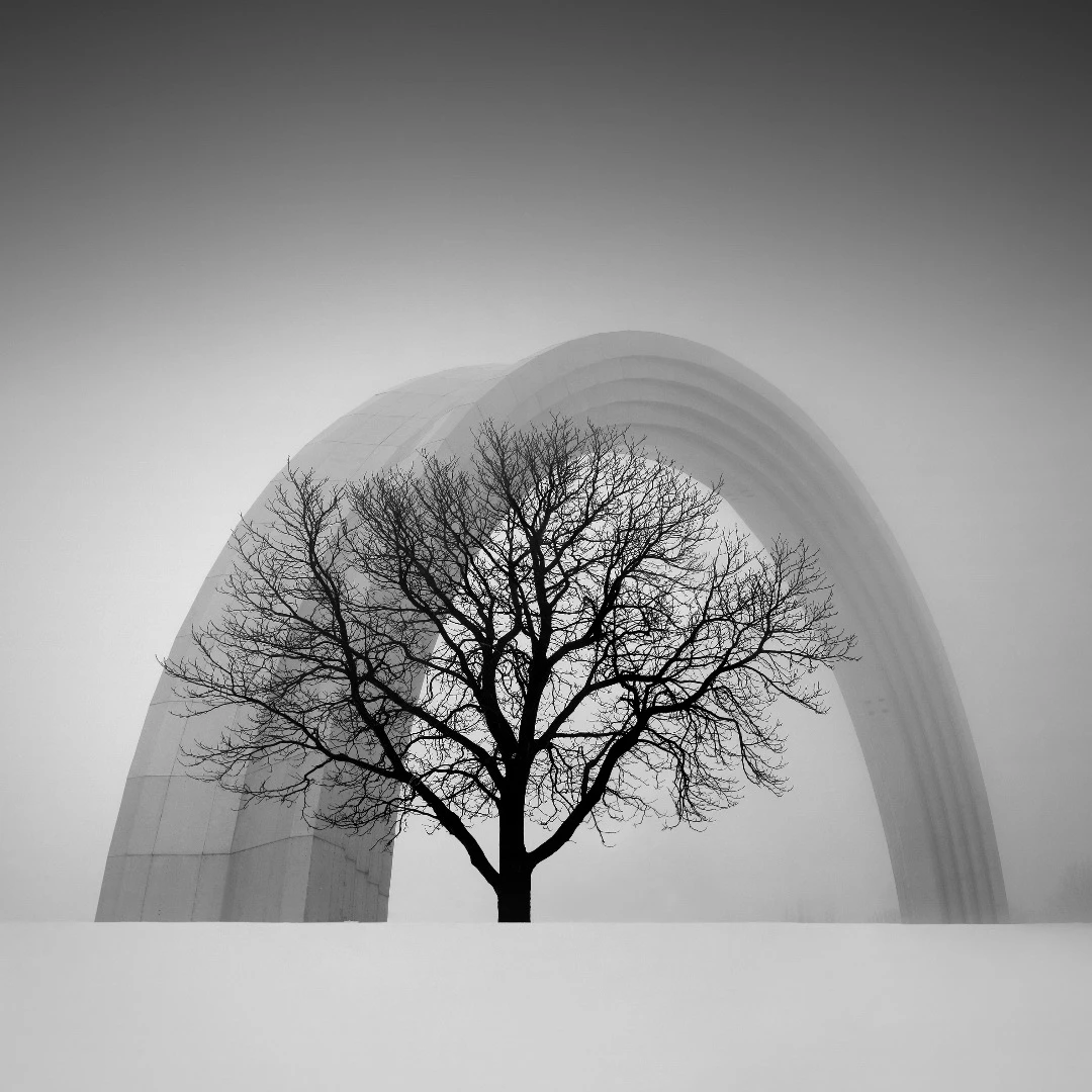 People’s Friendship Arch, by Oleksandr Nesterovskyi, was taken in Kiev, Ukraine, with a Canon 450D. "The photo shows the combination of nature and architecture, the harmony in combination of titanium arch height of 30 meters and a tree," says the photographer