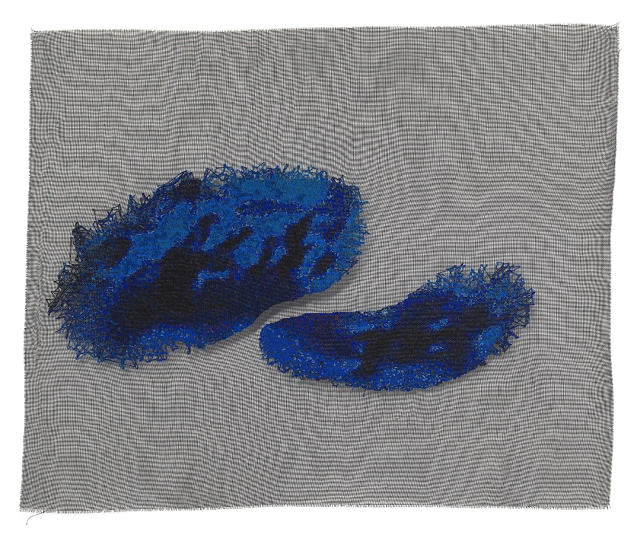 Louisa Bufardeci The sea between A and I 2014 – 15 09/06/2013, 9°1’52.01”S 106°24’51.56”E fibreglass (mesh), wool National Gallery of Victoria, Melbourne Purchased, Victorian Foundation for Living Australian Artists, 2016