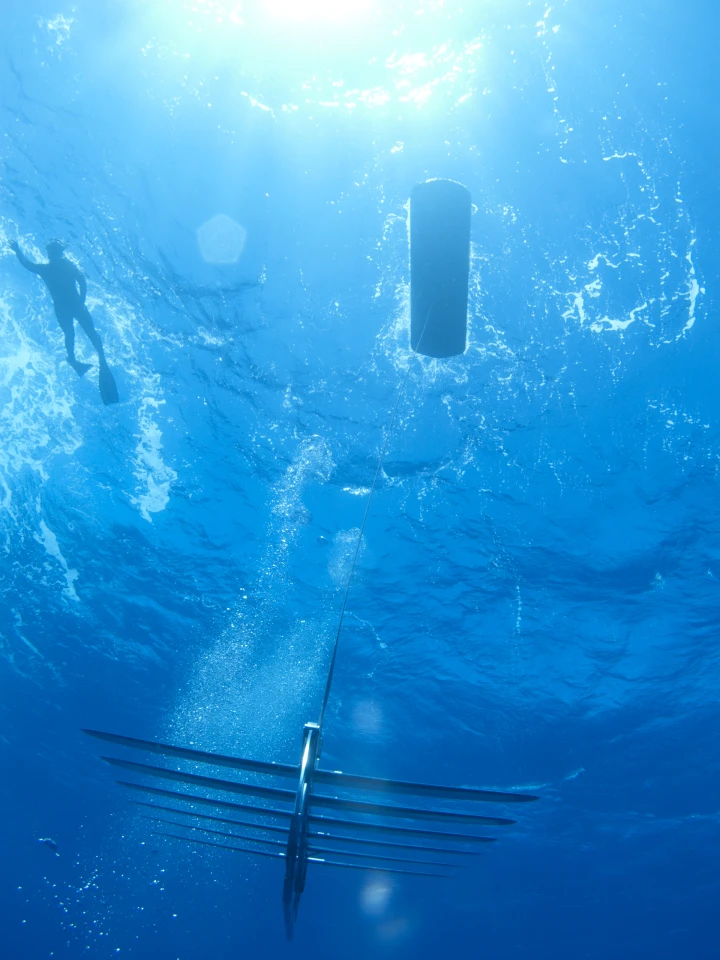 The winged component of one of the Wave Gliders, tethered to the floating section