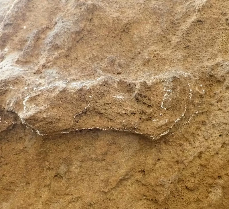 The oldest known Homo sapiens footprints, found in South Africa