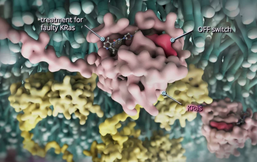 An illustration of the KRAS-G12C protein inside a cancer cell, and how divarasib can target it