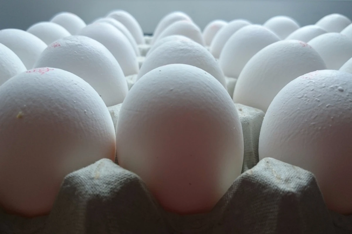 Eggshell nanoparticles have helped create a bioplastic more suited to packaging