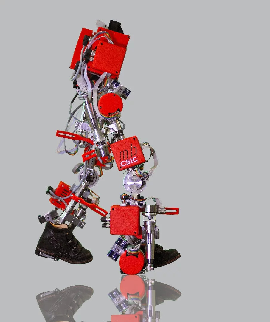 The 12-kg (26-lb) aluminum/titanium exoskeleton is intended for use by children aged 3 to 14, who are suffering from spinal muscular atrophy