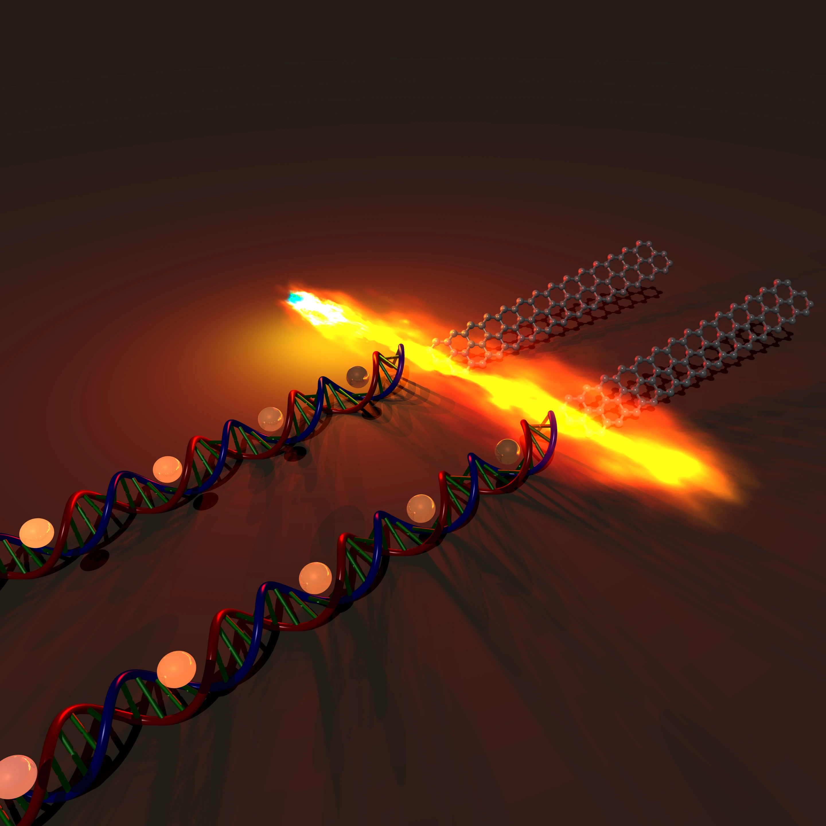 Stanford scientists have used DNA molecules to assemble high-performance graphene transistors (Image: Anatoliy Sokolov/Bao Group/Stanford Engineering)