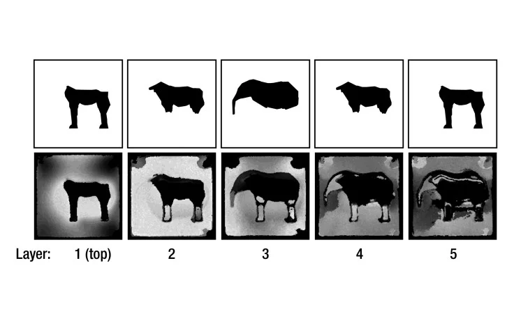 The scan of the tapir-shaped void Infrastruct (Image: Karl Willis)