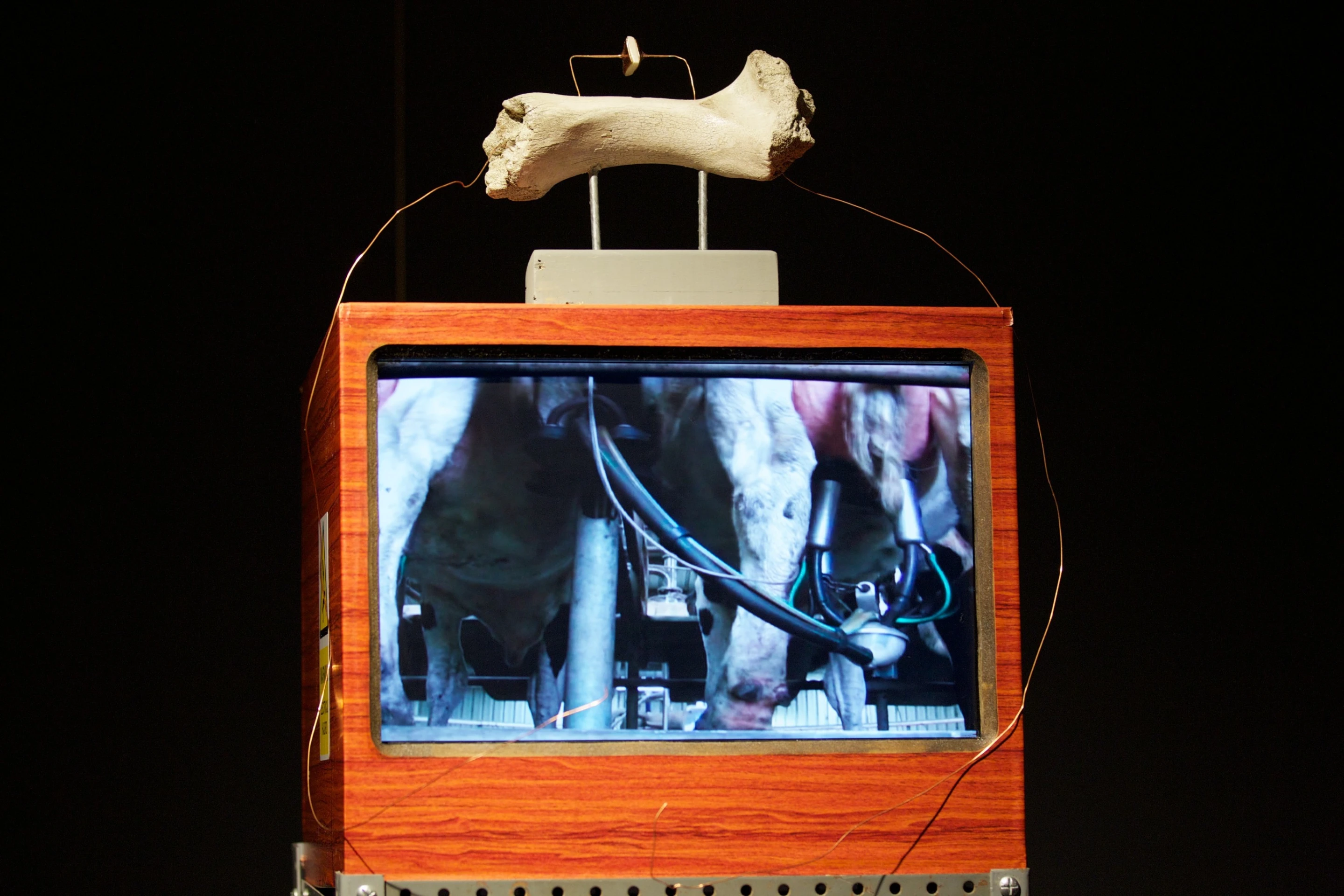 The Transjuicer features a cow bone speaker
