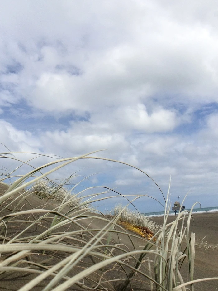 A low-angle shot taken with the HiLO lens