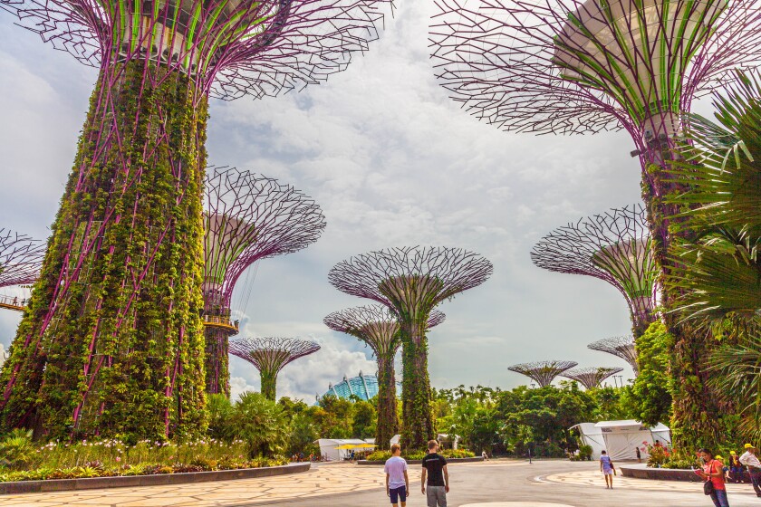 Gardens by the Bay – Supertree Grove (Photo: Loz Blain)
