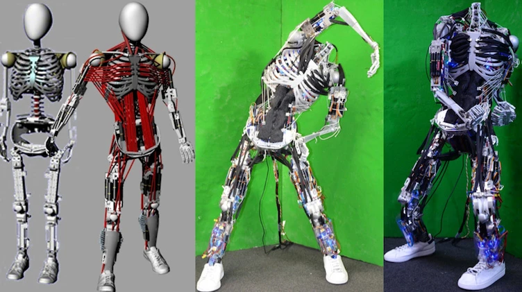 The University of Tokyo's JSK Lab have developed what could be considered the world's most anatomically correct robot, Kenshiro