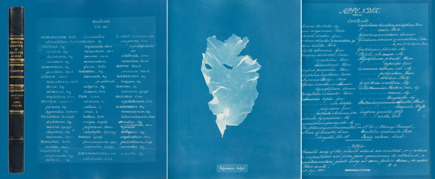 Anna Atkins (1799-1871) was an English botanist and photographer who published the first book illustrated with photographic images (British Algae Volume I in 1843) and she is believed to be the first woman to create a photograph. This was made possible through her friendship with Sir John Herschel, the inventor of the cyanotype printing method. The process, known as blueprinting, was later used to reproduce architectural and engineering drawings, but Atkins chose to use it for capturing images of algae (specifically sea-weed). Extremely rare, this third volume was published in 1853, containing 102 cyanotypes and three text pages, one of which is initialled "A.A." The book's rarity and historical importance make it very valuable. One copy of the book with 411 plates in three volumes sold for £133,500 in 1996 and another copy with 382 prints in two volumes sold for £229,250 in 2004. This copy was sold for $237,222 (€ 219,000) by Sothebys on November 11, 2016