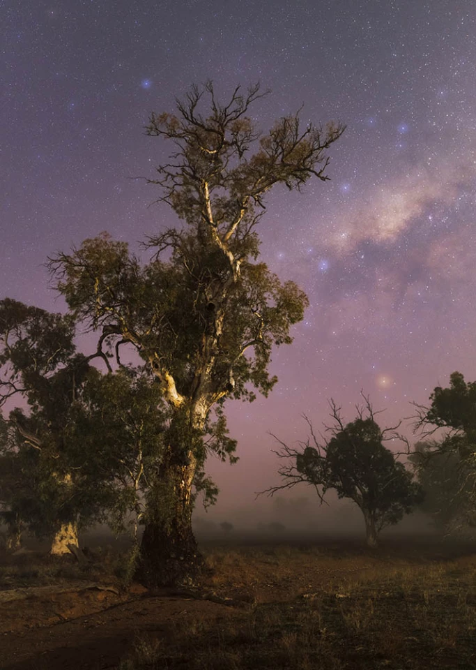 Overall Winner. "Old Giant in the Fog"