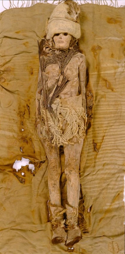 The preserved substance next to the Tarim Basin mummies in China has been identified as cheese
