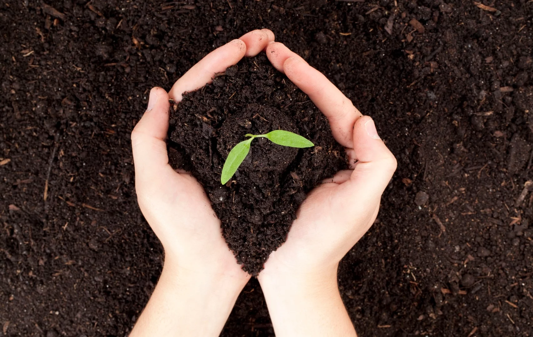 Researchers at the University of Adelaide have developed a graphene oxide-based fertilizer, which is able to bind to and release essential plant nutrients more effectively