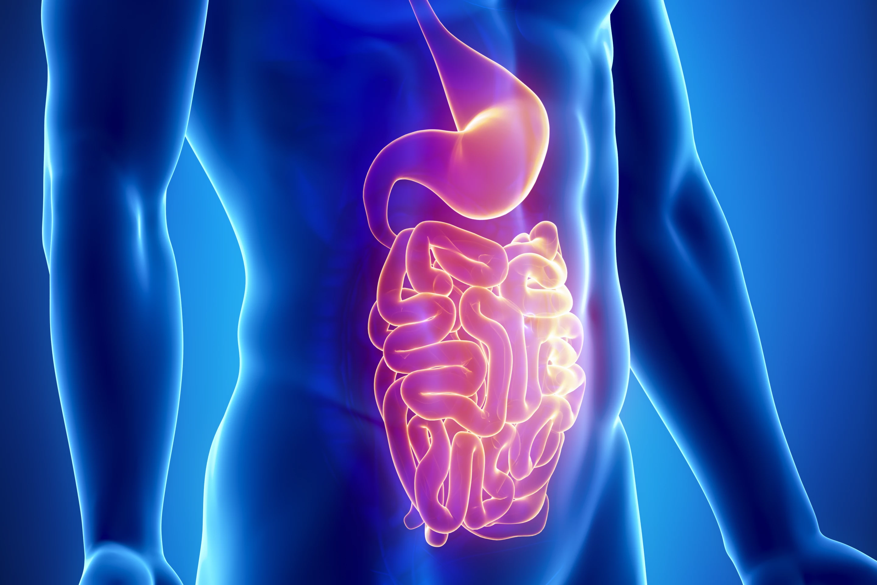 The capsule collects bacteria and metabolites from the small intestine, not the lower colon