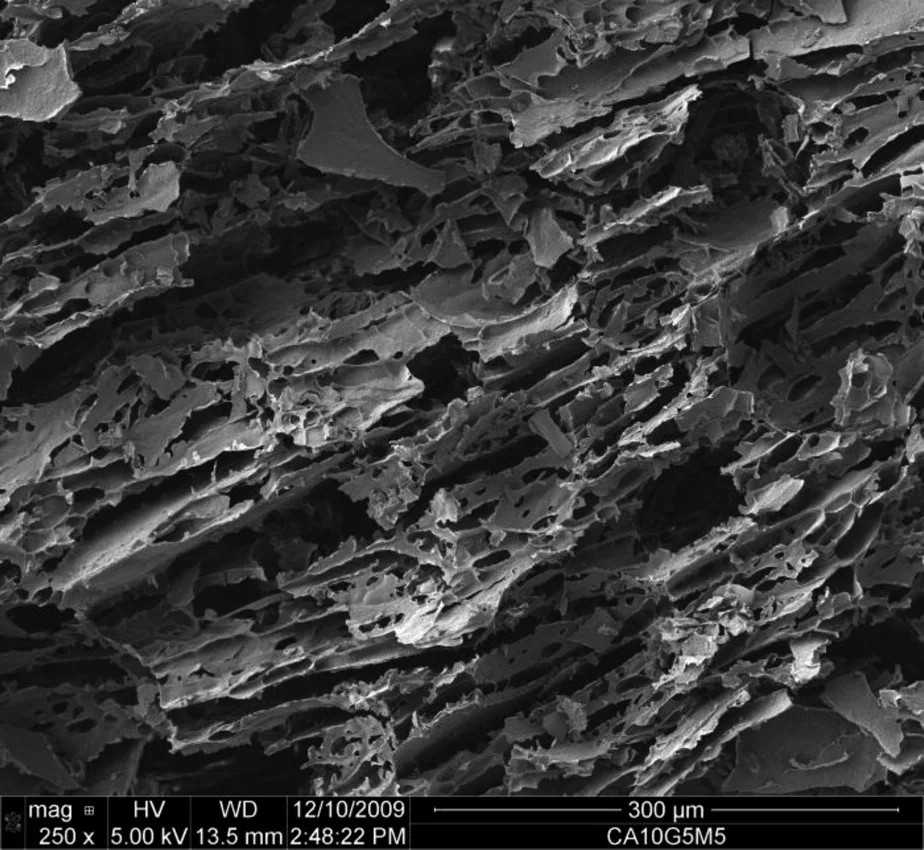 A scanning electron microscope image of the milk and clay-based biodegradable foam