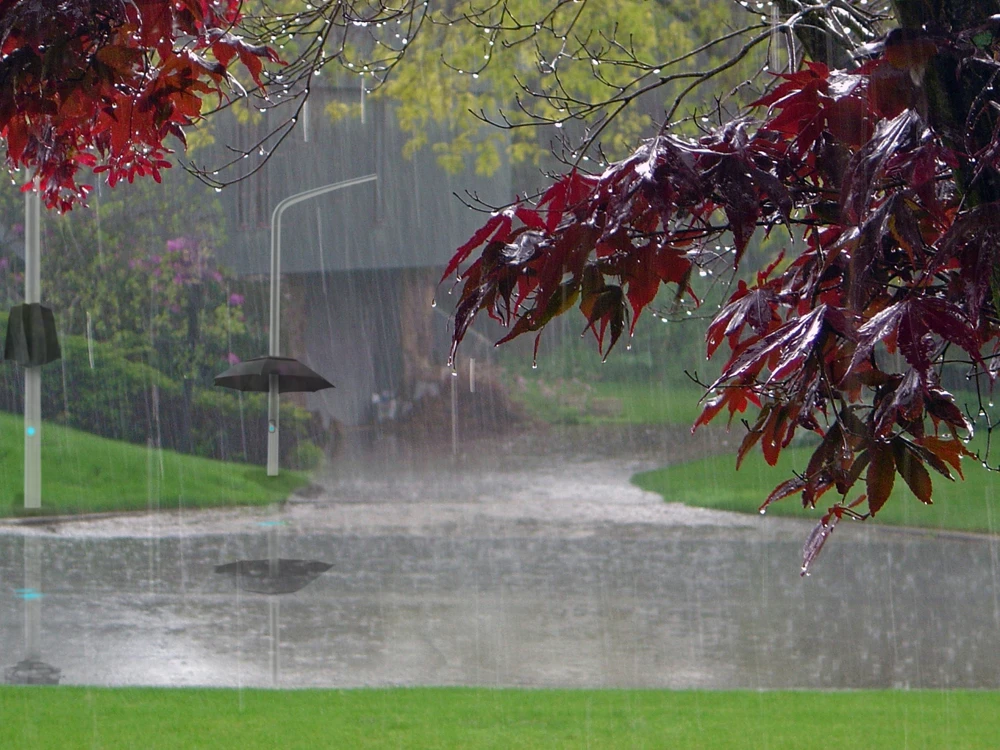 The Lampbrella designer insists his creation could be installed on any street where a lot of people walk but there are no canopies or large trees where you can hide from the rain