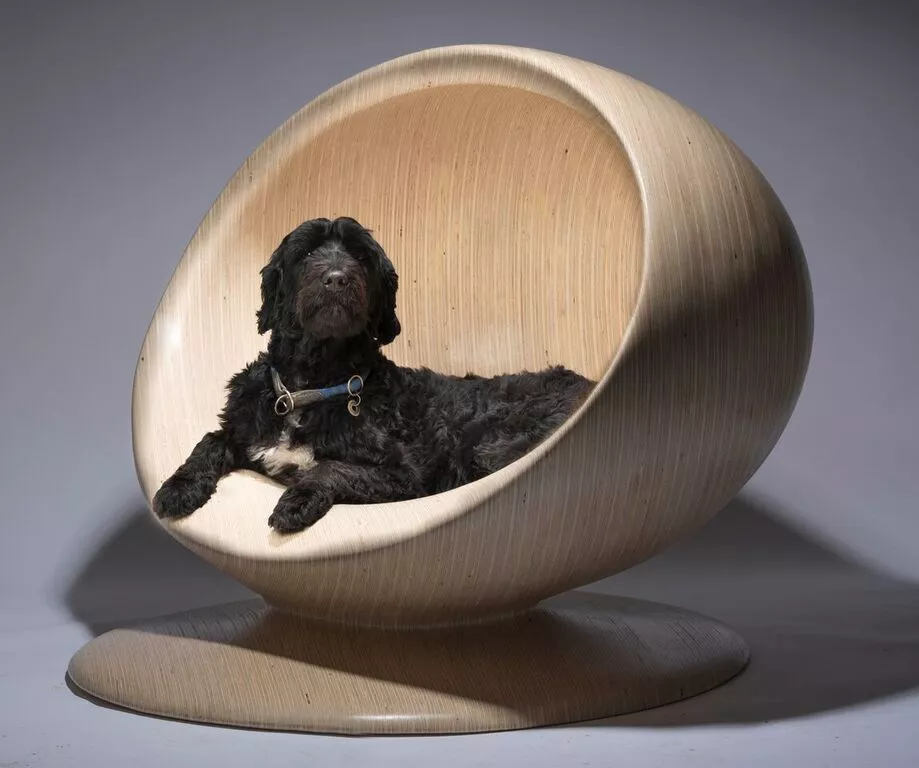 Most humans don't get the chance to live in a Zaha Hadid-branded home, but it's a dog's life eh? Cloud, by Zaha Hadid Design was constructed from plywood using digital design and fabrication techniques