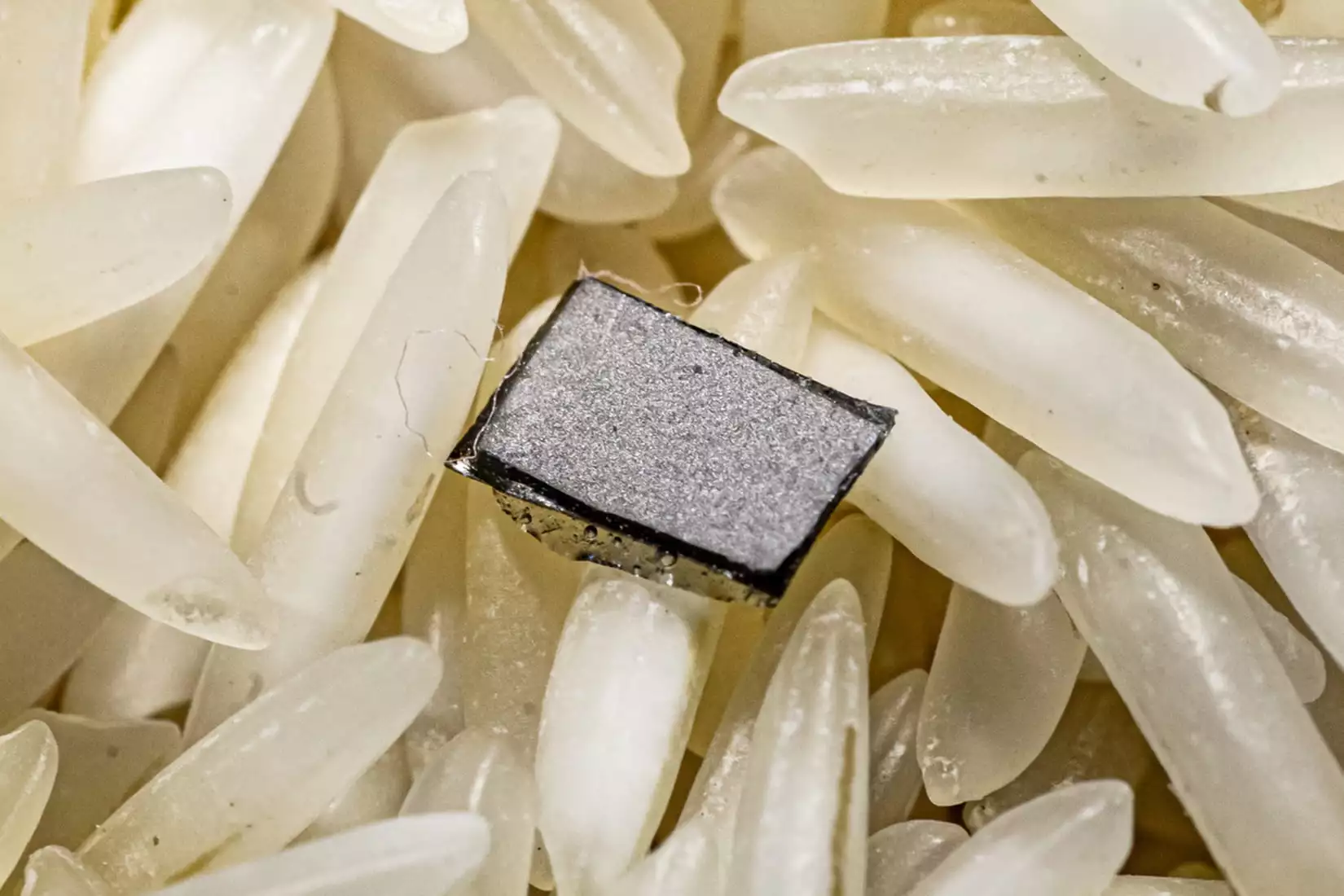 A sample of the "magnetoelectric" film, atop a bed of uncooked rice for scale