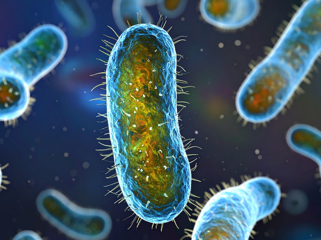 'Smart' dressing made from plants delivers antibiotics before infections take hold