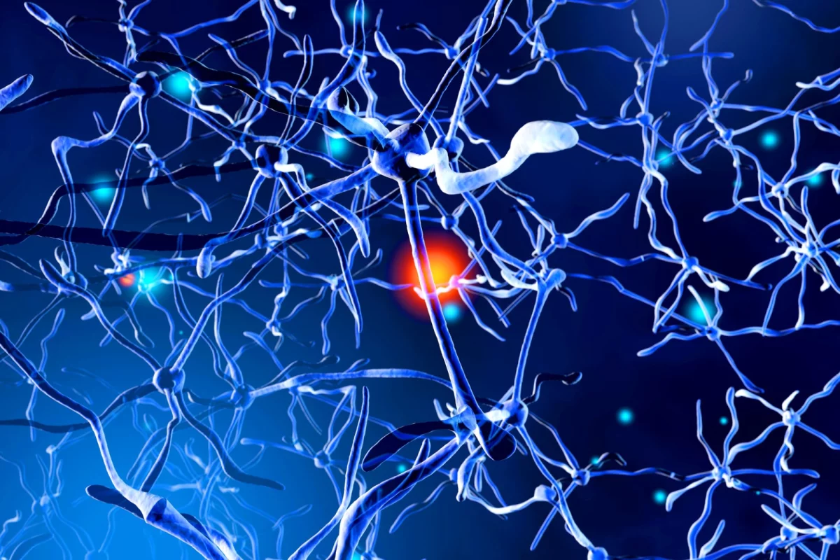 A new study is a step towards identifying different subtypes of schizophrenia characterized by distinct pathological biomarkers