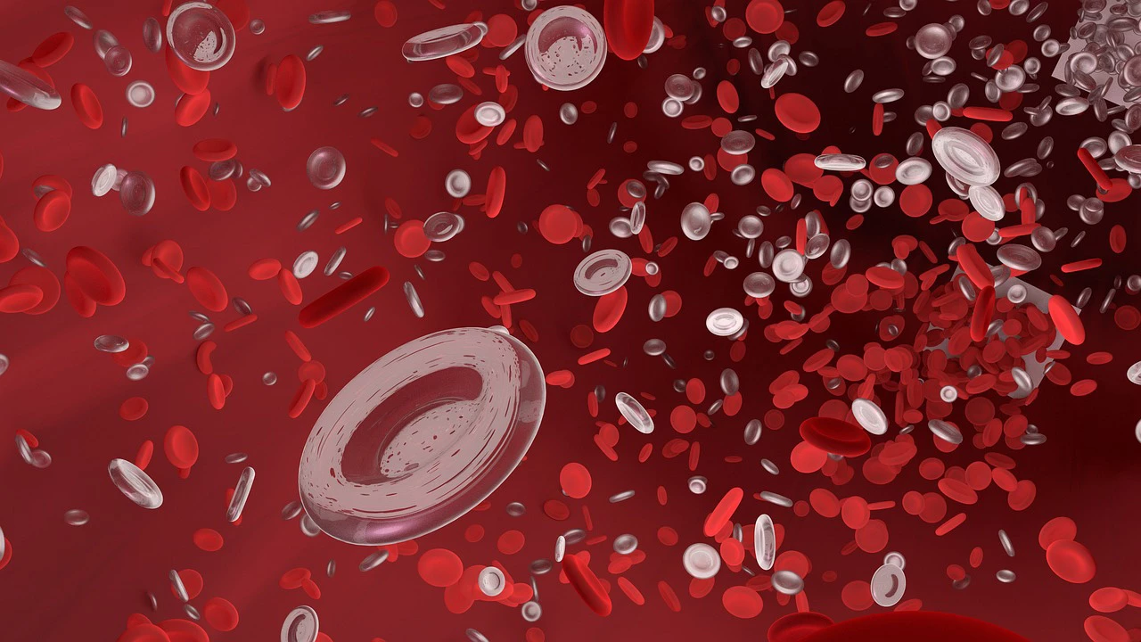 This is unfortunately not the first study linking erythritol with impairments in how our blood vessels function