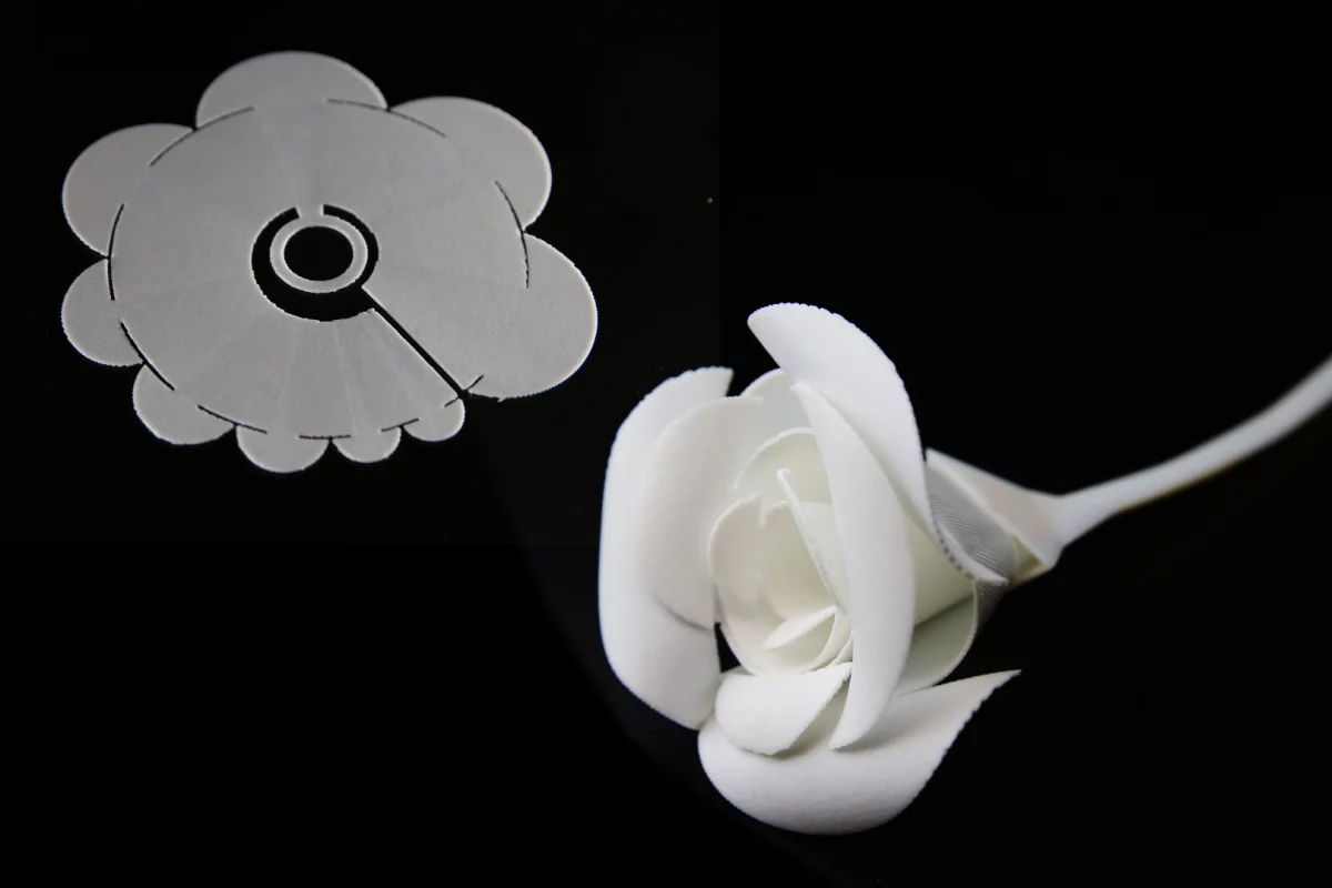 A flat sheet of plastic (top) becomes a three-dimensional rose when heated