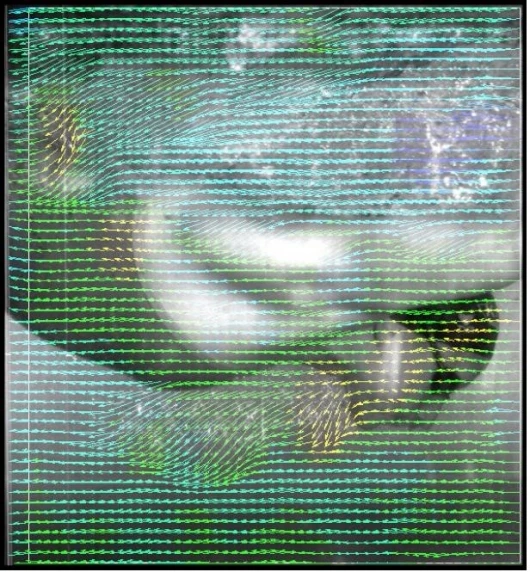 Digital Particle Image Velocimetry video-based flow measurement technique