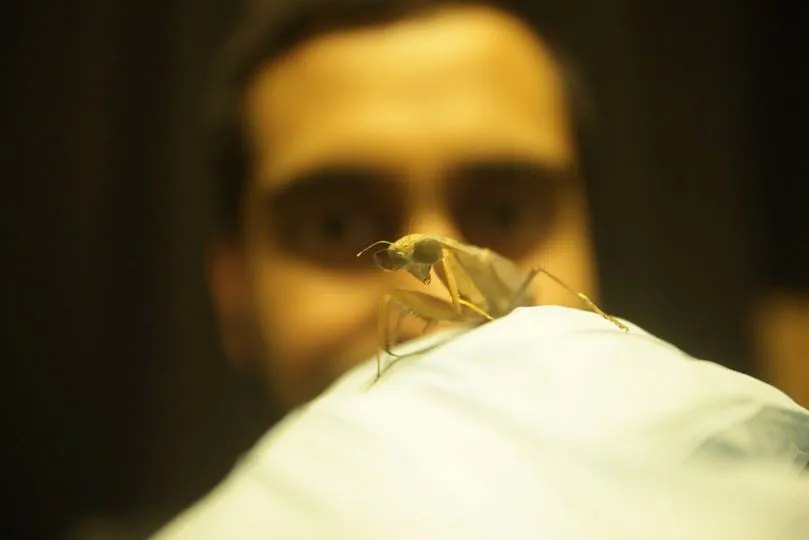 Dr. Vivek Nityananda with one of the praying mantises