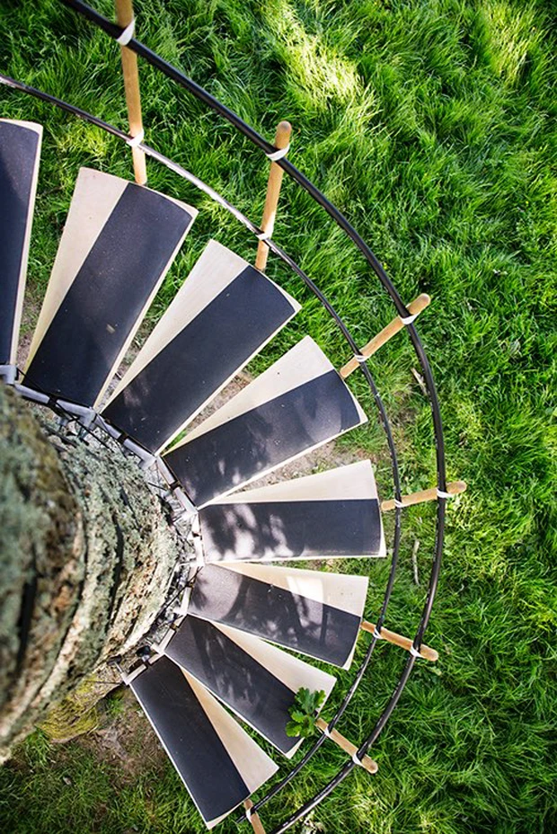 CanopyStair is designed not to mark or harm the tree in any way