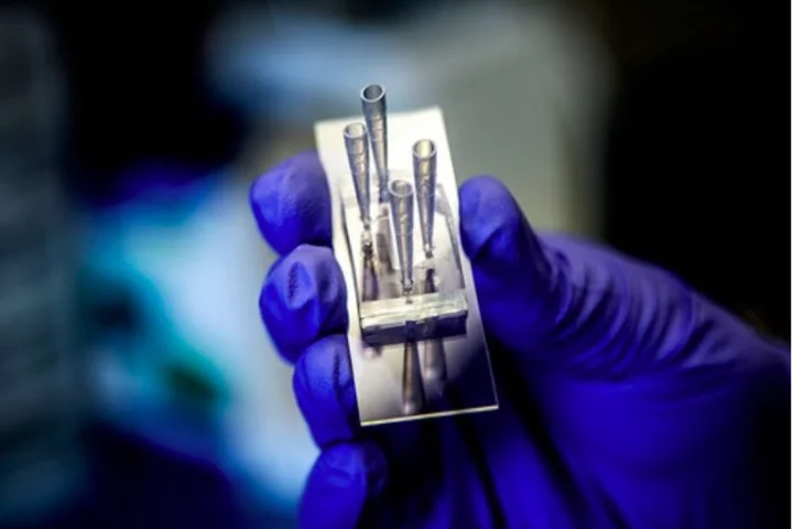 The device simulates the manner in which medications flow through and are processed by the kidneys