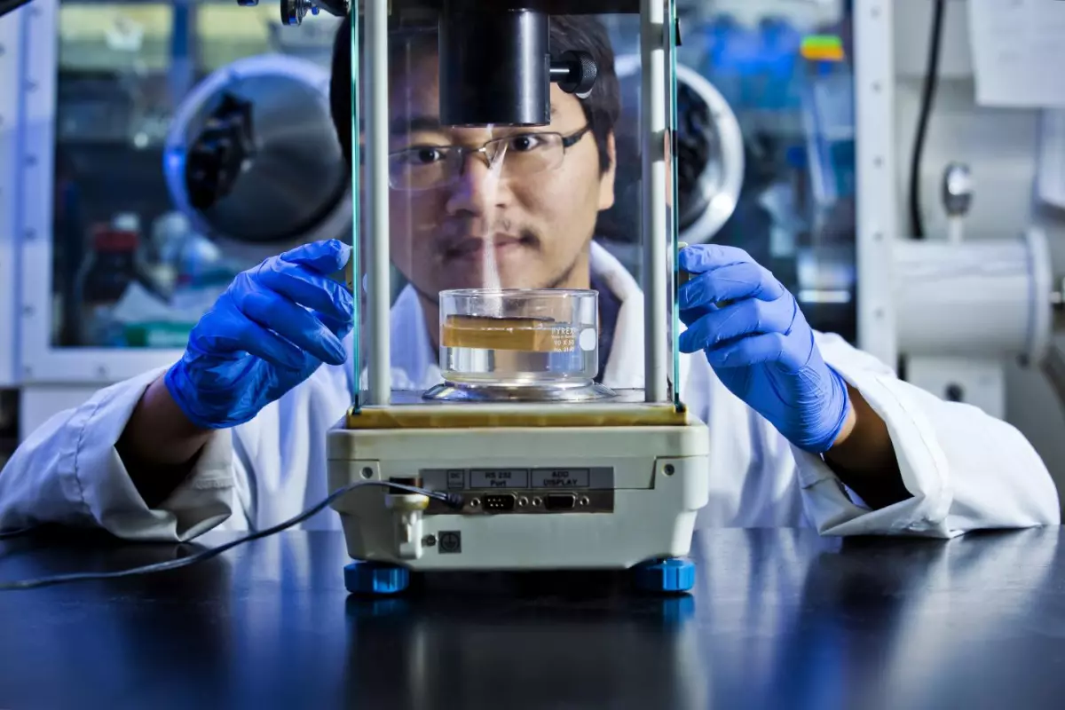 The solar steam generation testing rig that was used in the study