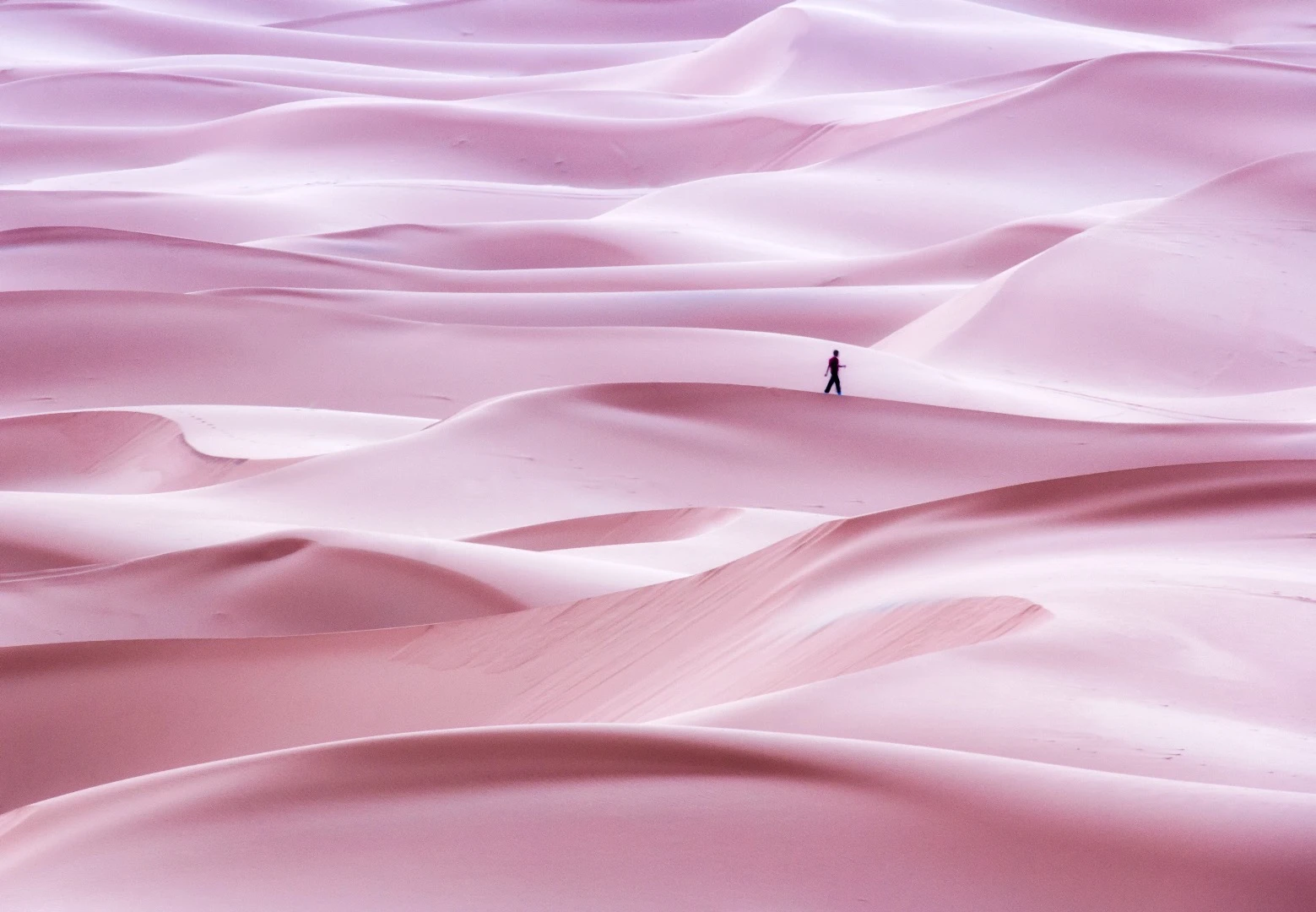 This image was captured in Erg Chebbi (Morocco) on the western edge of the Sahara desert, after a camel ride to the dunes at sunrise
