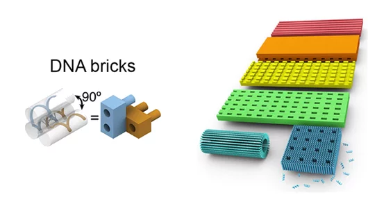 Researchers have used a DNA brick self-assembly method to build 32 different crystal structures with sophisticated 3D features (Image: Harvard's Wyss Institute)