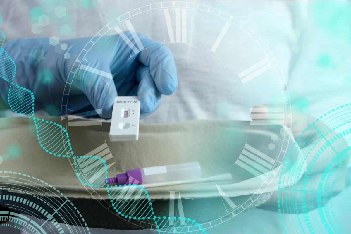 What are rapid antigen tests and how are they best used?