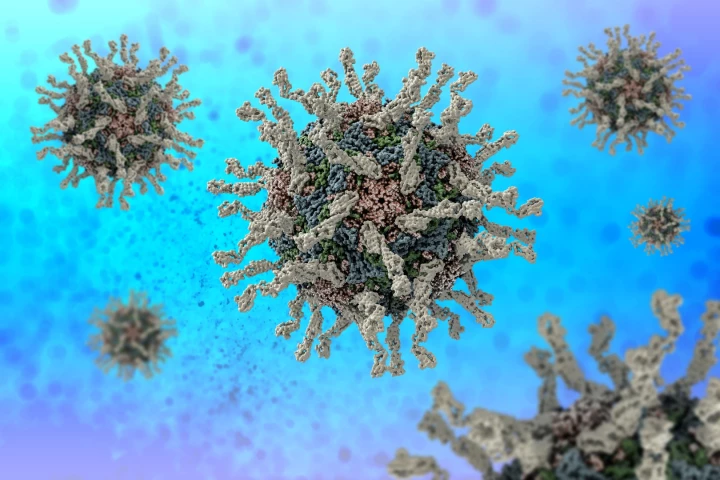 A computer rendering of the human polio virus