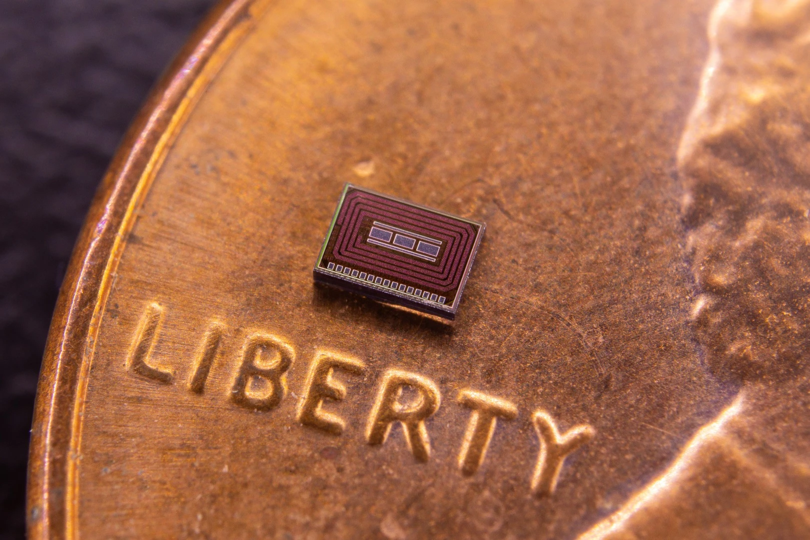 The chip is intended to be injected under the skin, at a clinic