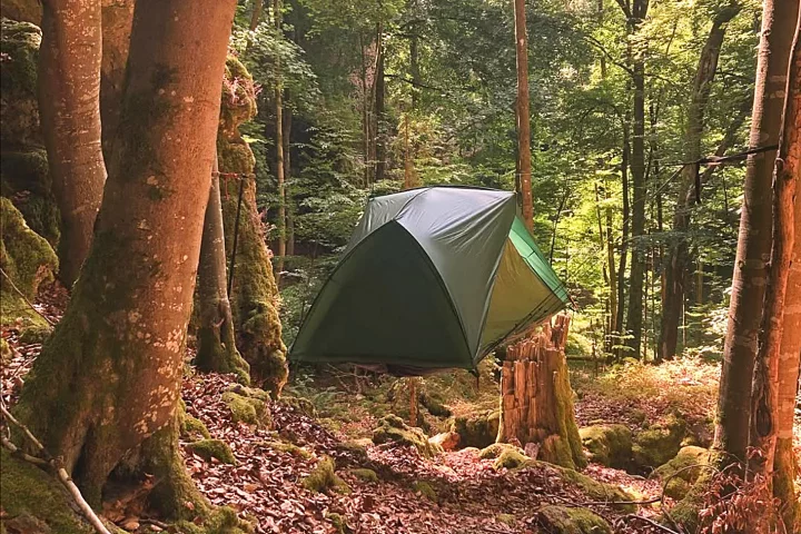 It almost looks like it's floating in the trees