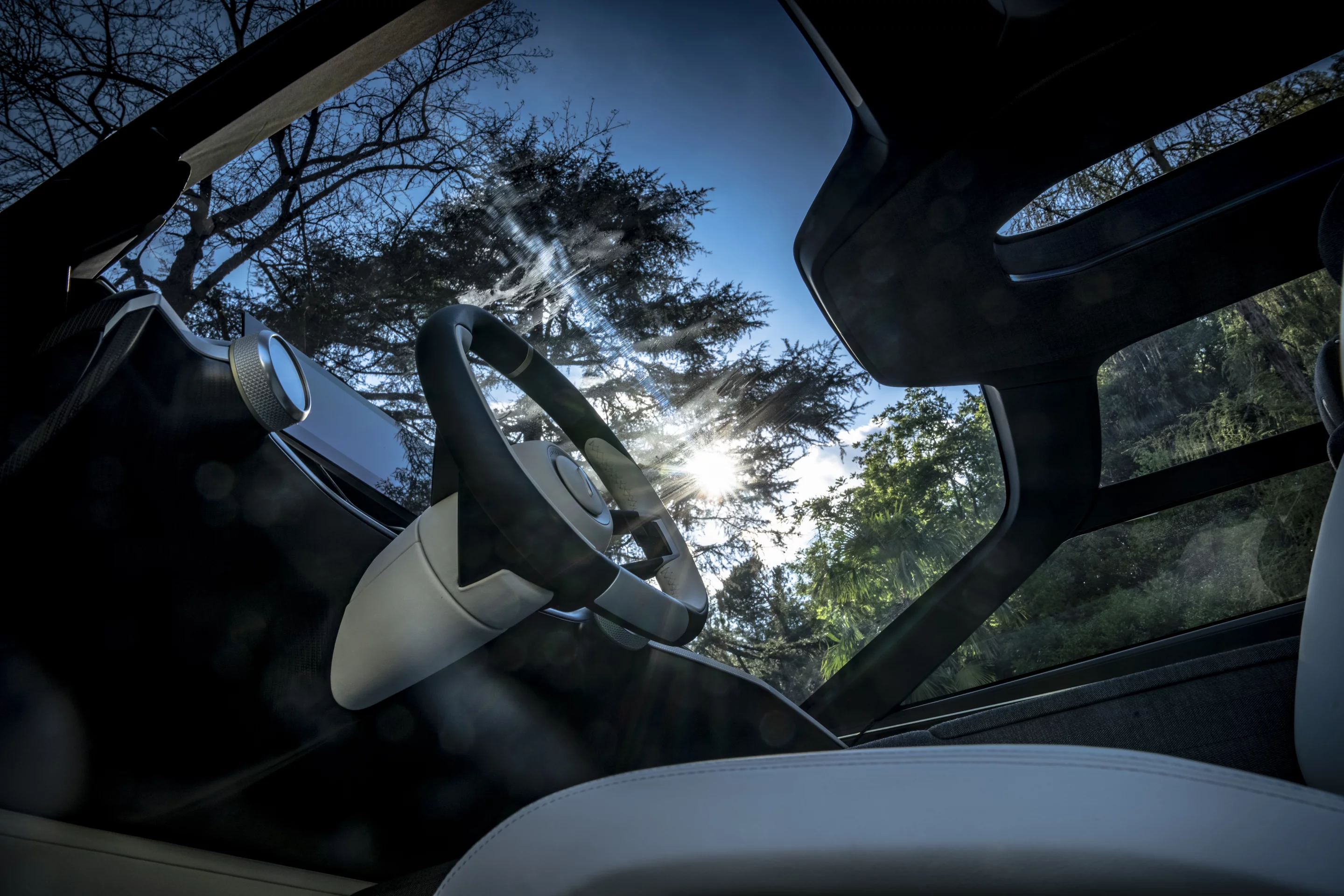 All that glass ensures panoramic views of the Pura Vision's surroundings