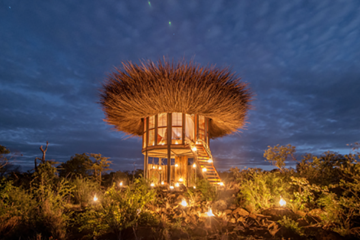 Bird Nest hotel sleeps Kenyan safarigoers above the treetops