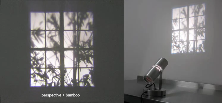 A window frame and stirring branches projected by Adam Frank's REVEAL
