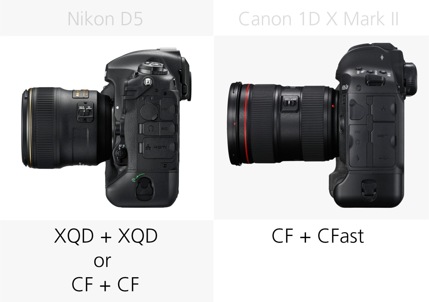 Storage media comparison of the Nikon D5 and Canon 1D X Mark II