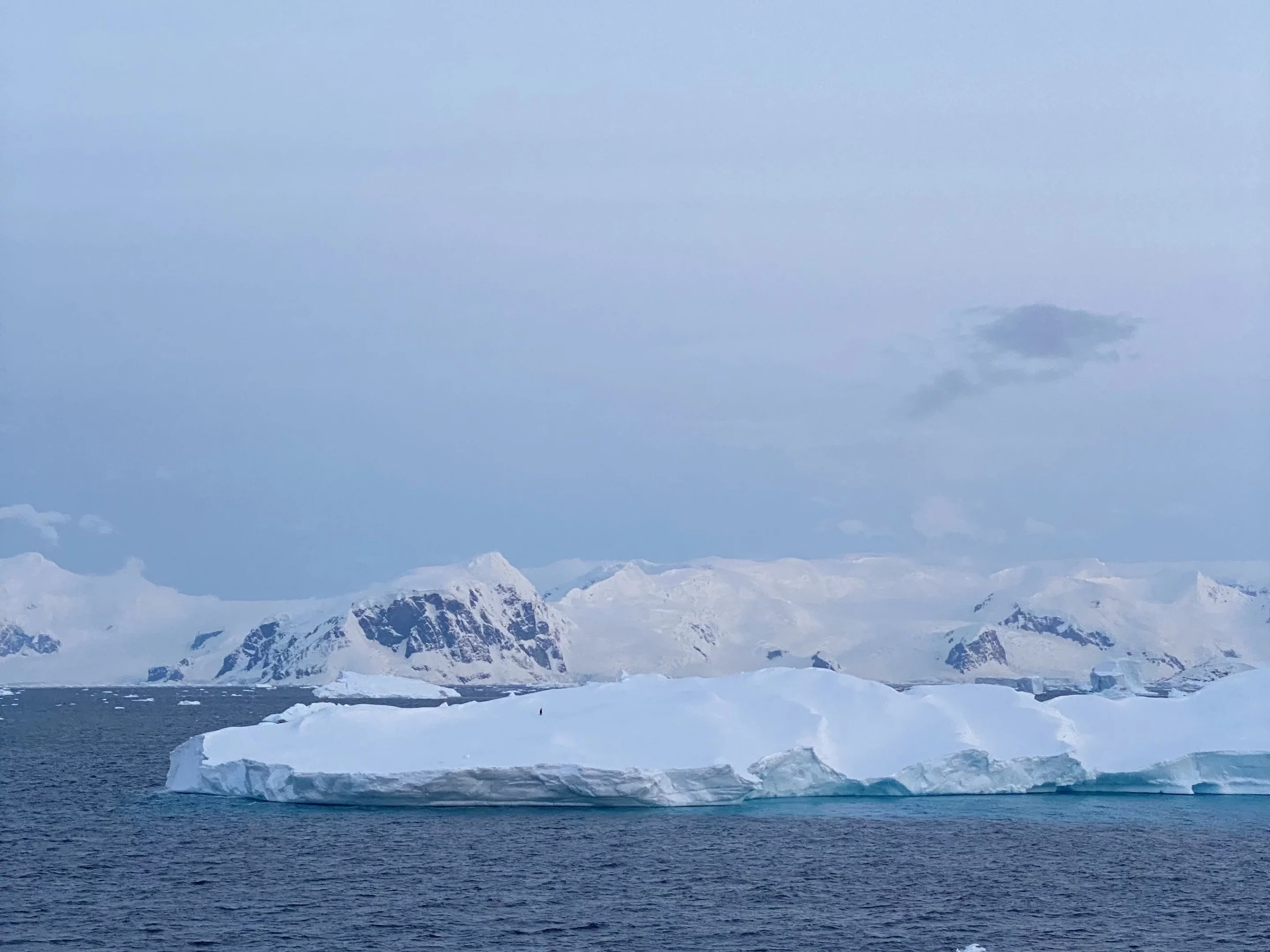 A lonely emperor penguin on a very large iceberg. You might need to squint. (Yes, it’s that ant-sized dot)