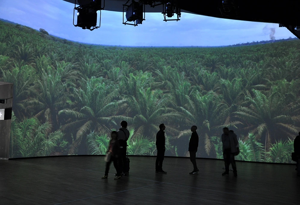 Walking through palms inside Pavilion Zero