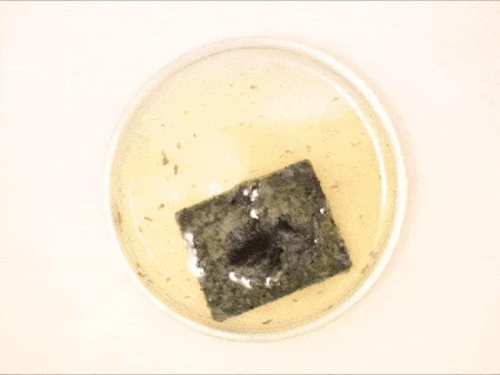 A piece of PDK plastic sitting in acid, which breaks the molecular bonds of the material and allows it to be reused