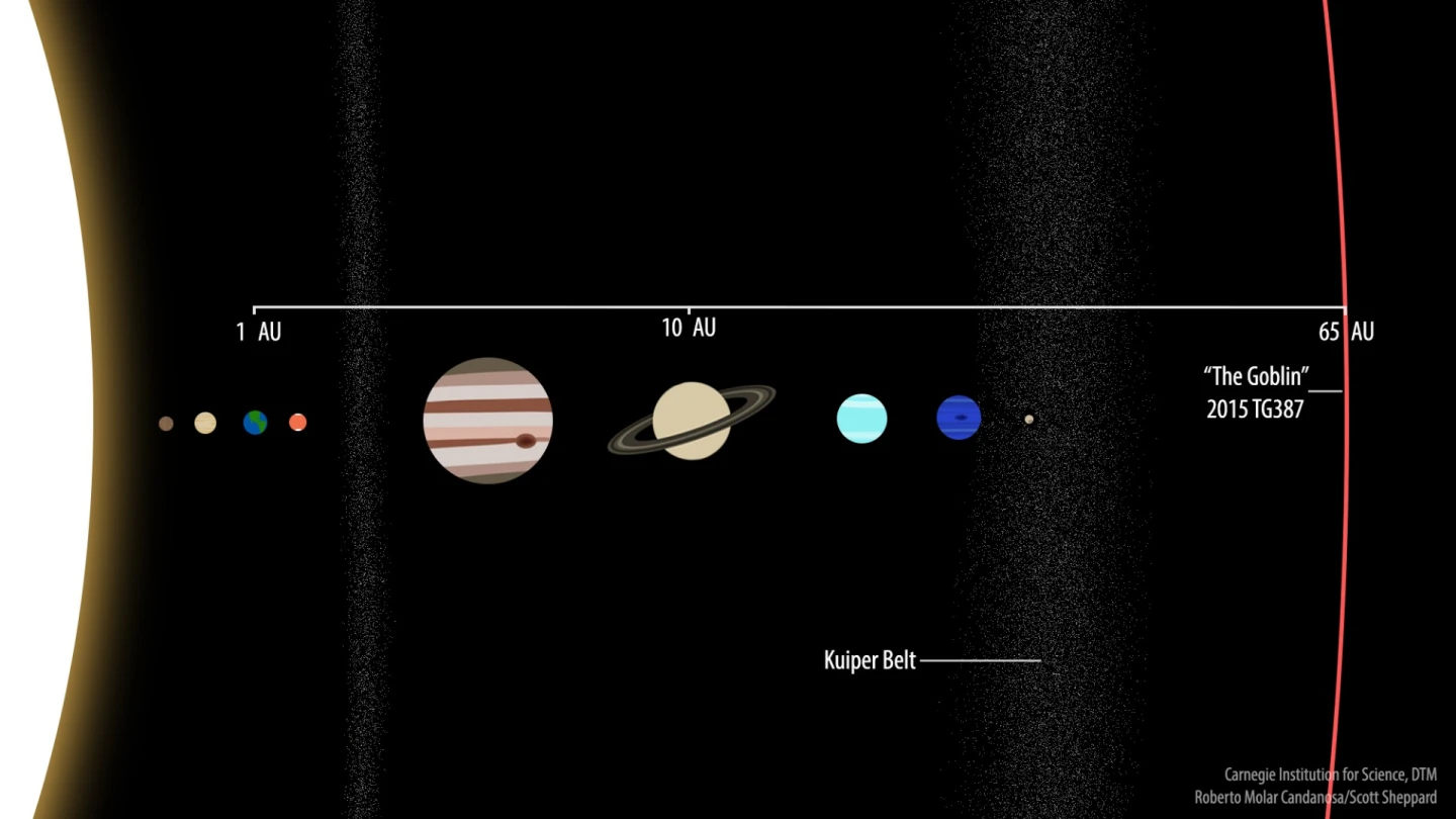 On its closest approach to the Sun, the Goblin only comes within 65 AU