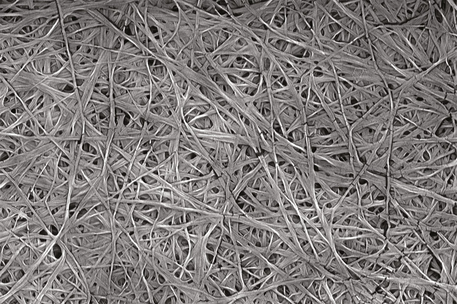 A microscope image of the cellulose fibers – each one has a diameter of a few dozen nanaometers