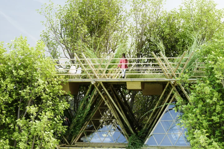 one with the birds, by Beijing-based architecture and design collective Penda (Image: Penda)