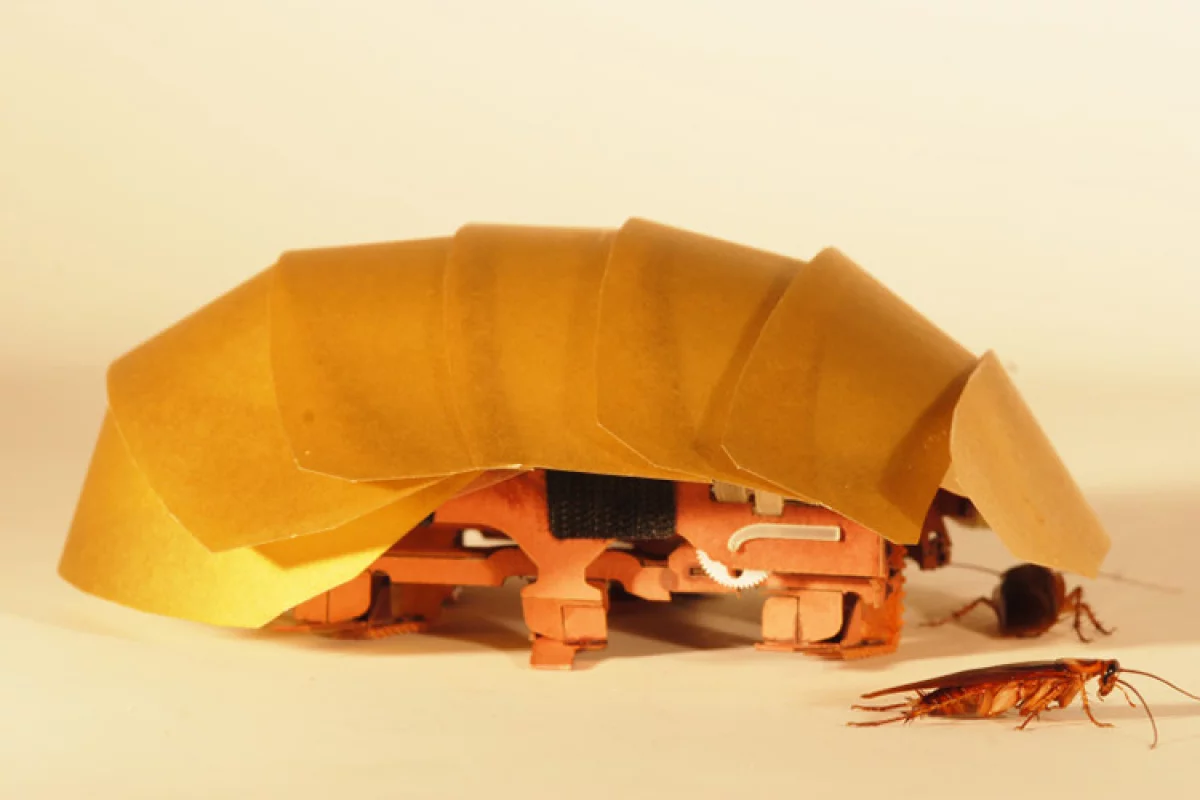 CRAM, the cockroach-inspired robot that can keep moving even when squished to half its size