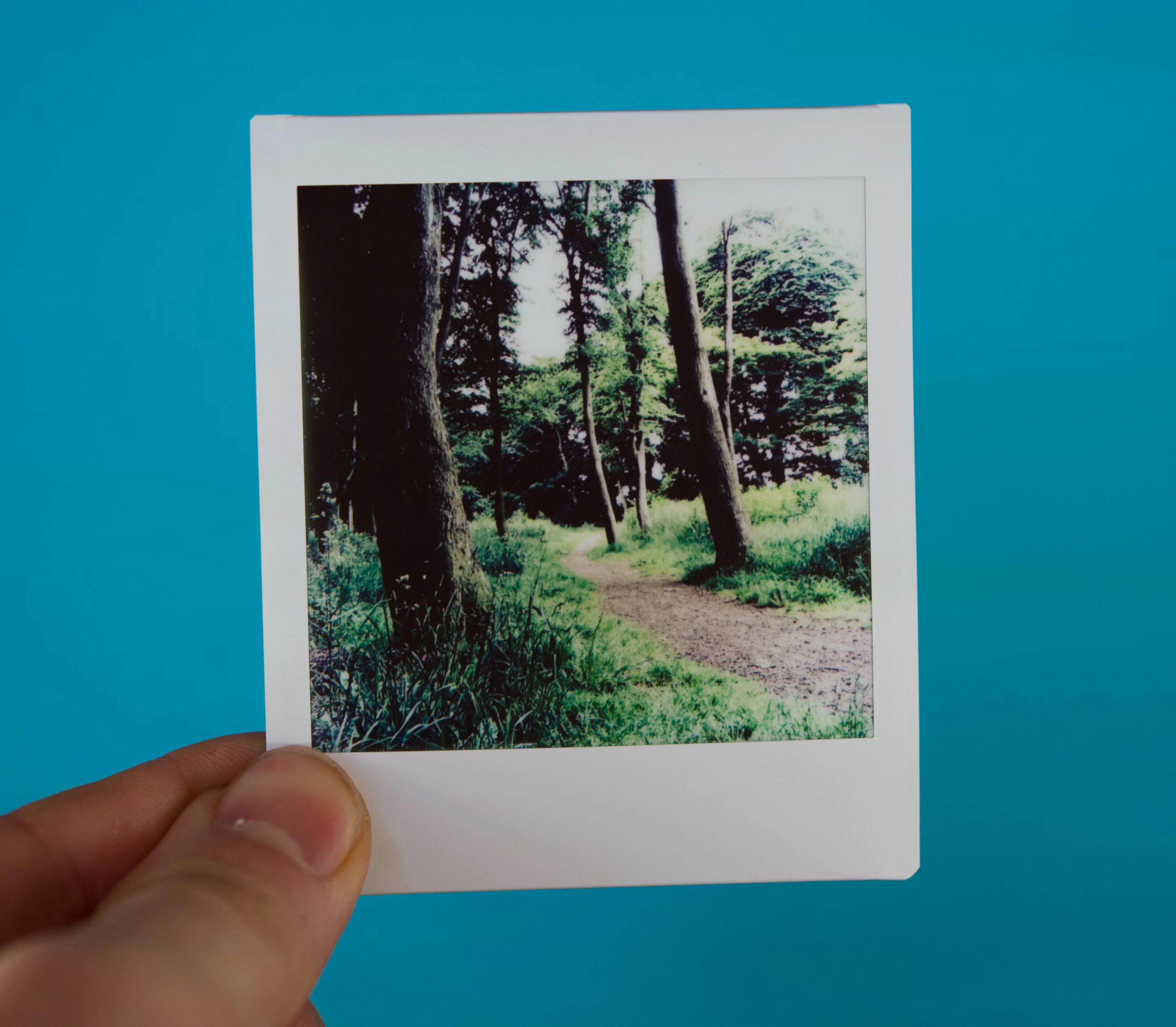 An example print from the Fujifilm Instax SQ10